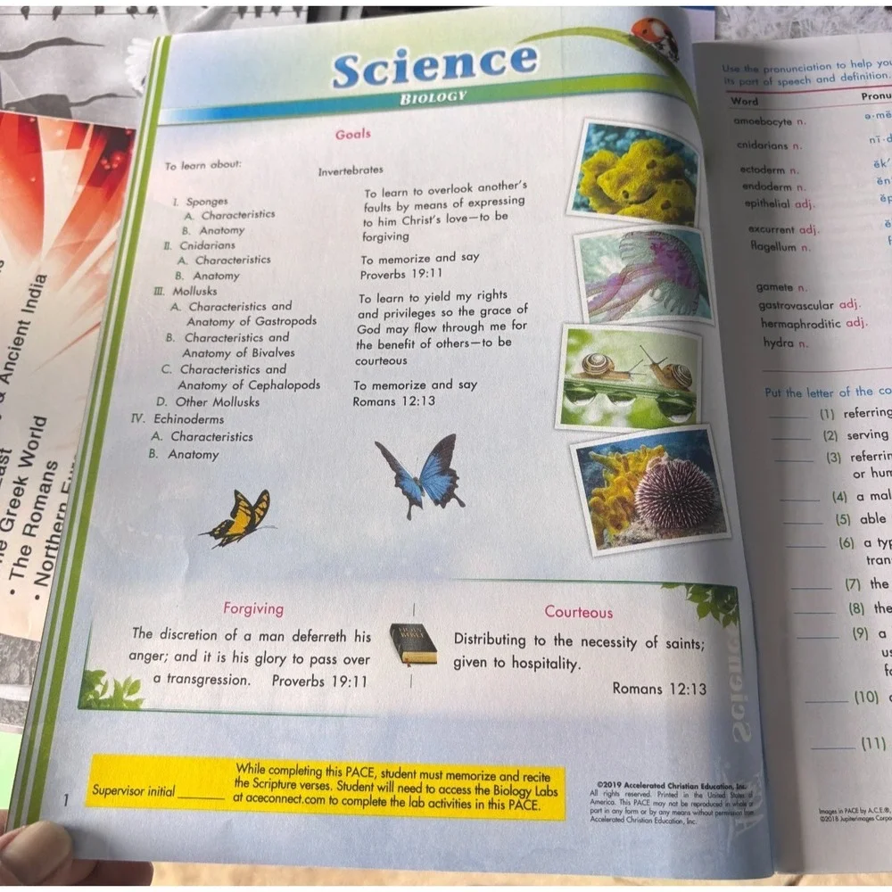 ACE Science 1100  homeschooling workbook